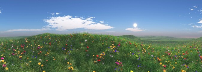 Flower meadow, meadow under blue sky, 3d rendering