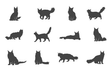 Maine coon cat svg, Maine coon cat silhouette, Maine coon cat clipart, Maine coon cat vector.
