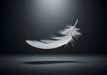 A single white feather falling gracefully against a dark background © Zev