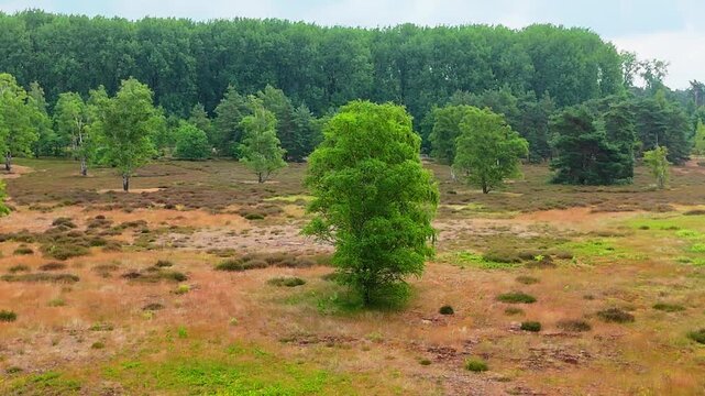 Lake (Steiner See) in M&uuml;nster