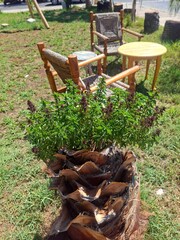 old wooden chair