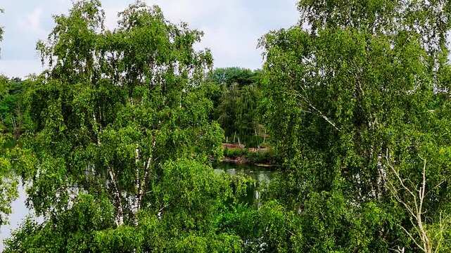 Lake (Steiner See) in M&uuml;nster