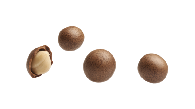 Four Macadamia Nuts on a Transparent Background with One Shelled Nut Revealing Soft Kernal