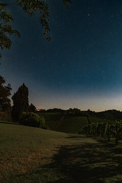 High-resolution nighttime landscape of a peaceful Italian vineyard under a clear, star-filled sky. Soft silhouettes of vines and rolling hills stretch across the horizon, with a distant farmhouse