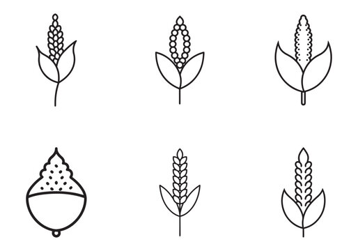 quinoa icon line art vector illustration