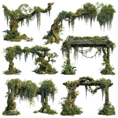 realistic old jungle liana with bark texture isolated on transparent background