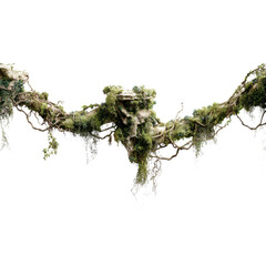 realistic dry forest vines with aged bark and loose structure isolated on transparent background