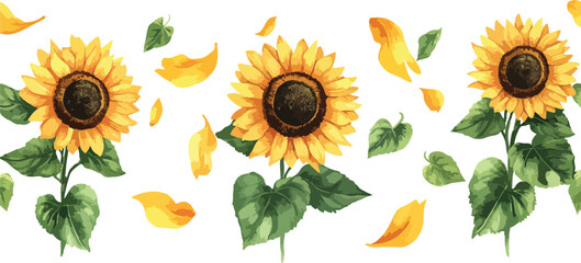 Watercolor Sunflower Border with Falling Petals on a White Background