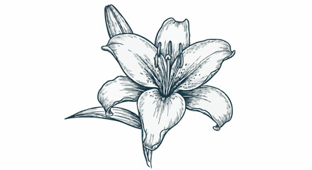 Fototapeta premium Lily porcelain decoration design (dark green)