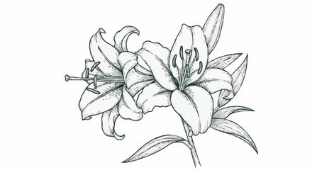 Lily porcelain decoration design (dark green)