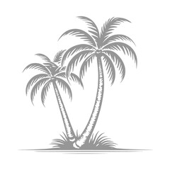 Two Palm Trees Silhouette