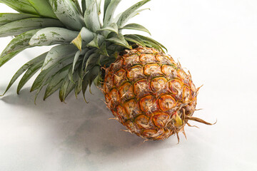 Tropical sweet exotic Pineapple fruit
