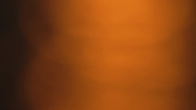 A blurry orange background with a dark brown foreground
