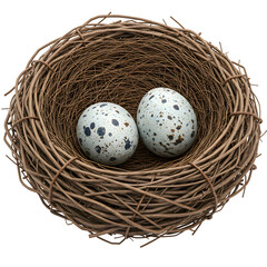 Obraz premium A delicate bird's nest cradles two speckled eggs isolated on white or transparent background. PNG format.