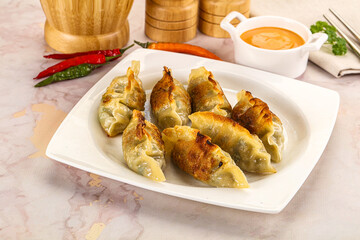 Japanese fried Gyoza stuffed dumplings