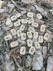magical wooden runes on the ground