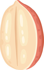 Cartoon nut design. Nut snacks frame, hazelnut, walnut, almond and pistachio frame of polygon shape flat vector illustration. Nuts border frame