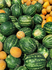 lots of ripe melons and watermelons to eat as a background