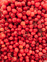 lots of ripe red cherries for food as background