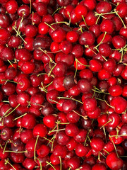 lots of ripe red cherries cherries for food as background
