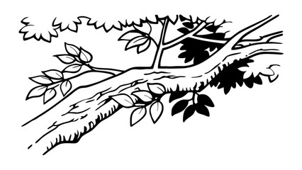 Tree branch outline drawing vector illustration with leaves and foliage black and white line art design nature scene