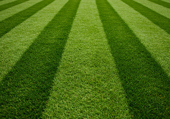 well-maintained turf with geometric lawn stripes from lawn mower
