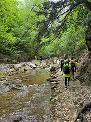 Tourists travelers go to the mountain by the forest river