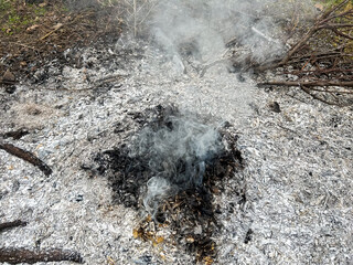 Ashes and smoke in a forest clearing after a campfire.