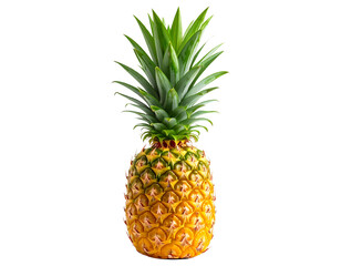  Whole Ripe Pineapple with Green Crown, Front View, Transparent PNG