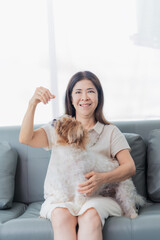 An old Asian woman plays with a Shih Tzu dog on the sofa in the living room at home, feeling happy and relaxed. Enjoy spending your free time with cute puppies.