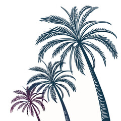 Fototapeta premium palm tree silhouette vector