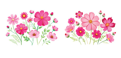 Beautiful floral arrangement of bright pink Cosmos flowers with delicate green foliage