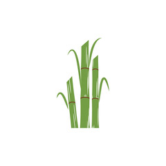 Sugarcane logo vector and symbol design