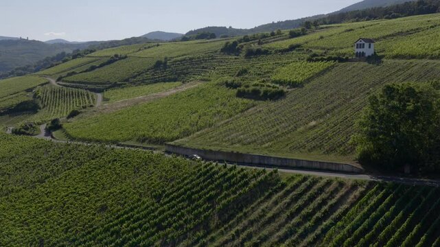 Aerial view of rolling vineyards on the route des Vins in Alsace in between the Alsacian fairytale villages 