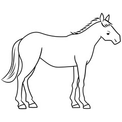横から見た馬の線画ベクターイラスト