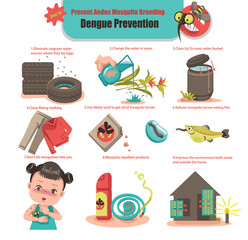 Dengue Prevention and Prevent Aedes Mosquito Breeding
