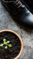 Black leather shoes next to a pot of soil with green sprouts. Top view