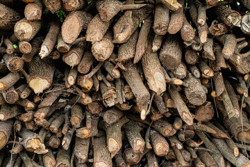 Close-up of a pile of firewood and dried wood pieces