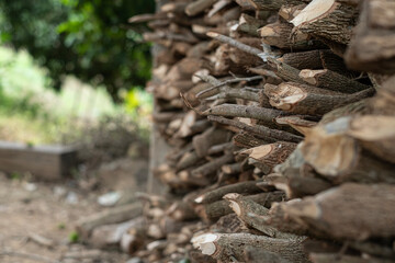 Close-up of a pile of firewood and dried wood pieces