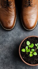 Brown leather shoes next to a pot of soil with green sprouts. Top view
