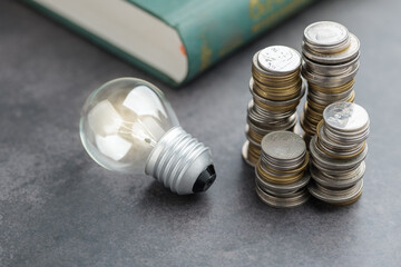 Glass light bulb lying next to stacks of coins and a book on dark background. Concept represents...