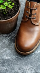 Brown leather shoes next to a pot of soil with green sprouts. Top view