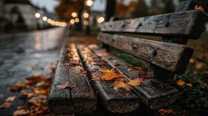 Autumn park bench in rain