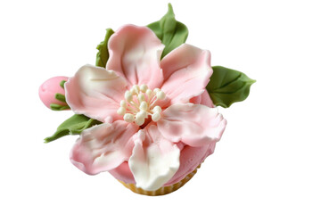 Cupcake with pink flower icing with transparent background