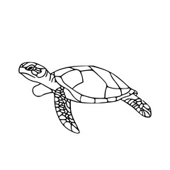sea turtle outline vector art