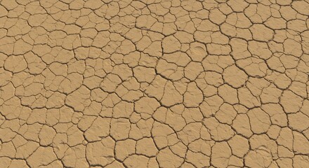 Cracked light brown earth with an intricate network of deep dark fissures