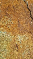 Textured Rock Surface Natural Formation Earthy Colors Patterns