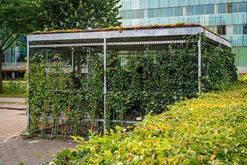 Innovative City Bike Garage with Green, living Roof and Climber Plants on the walls, eco friendly...