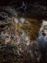A clear lake with a rocky shore and a view of the mountains. A serene lake with crystal clear water and a rocky shore, surrounded by high mountains and evergreen trees.