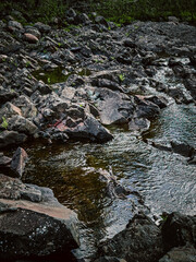 River flowing through forest. Rocky river landscape